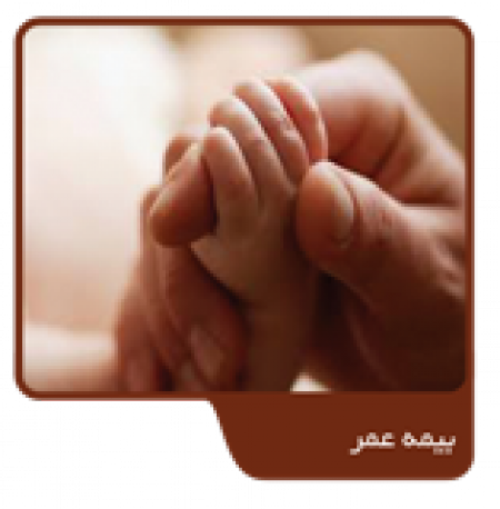 بیمه عمر